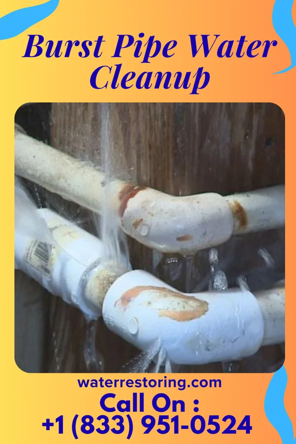 Burst Pipe Water Cleanup in Prairie City, IL