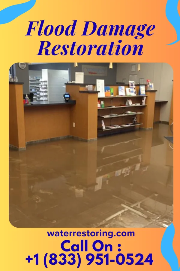 Flood Damage Restoration in Prairie City, IL