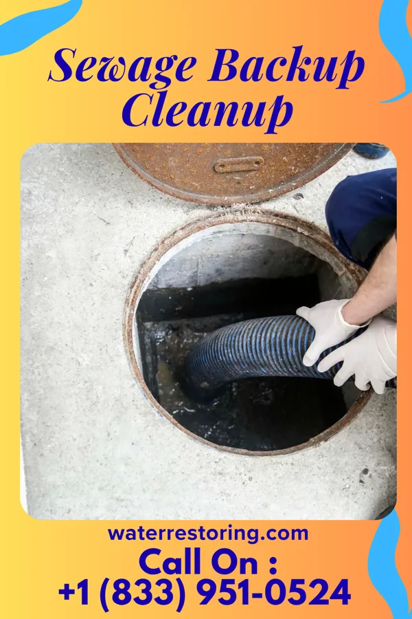 Sewage Backup Cleanup in Prairie City, IL