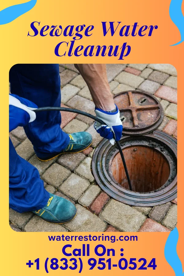 Sewage Water Cleanup in Prairie City, IL